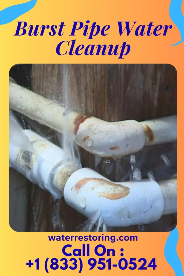 Burst Pipe Water Cleanup in Childers Hill, TN