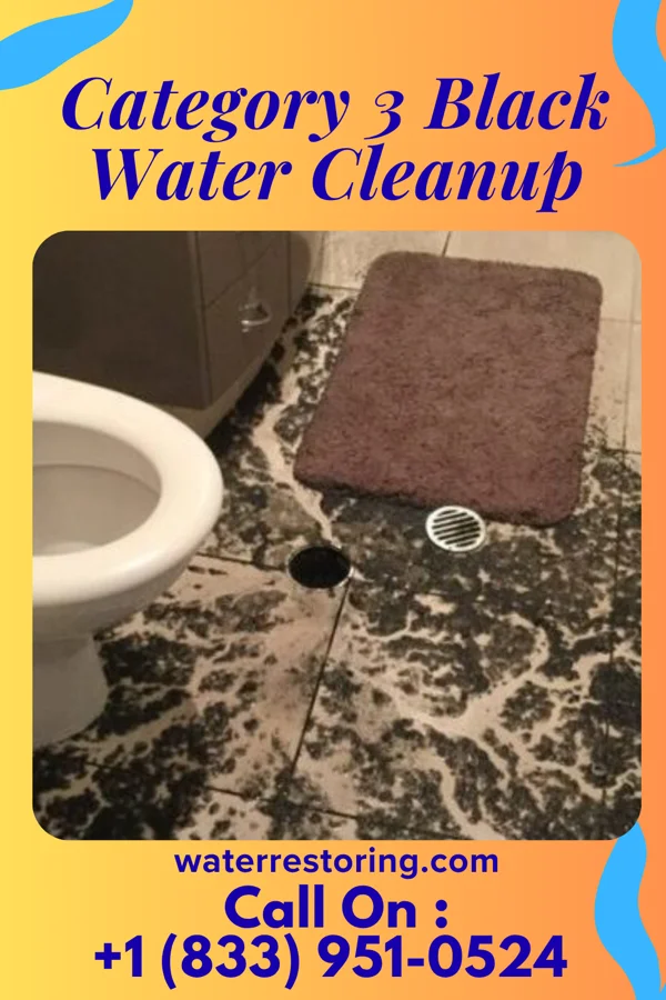 Category 3 Black Water Cleanup in Childers Hill, TN