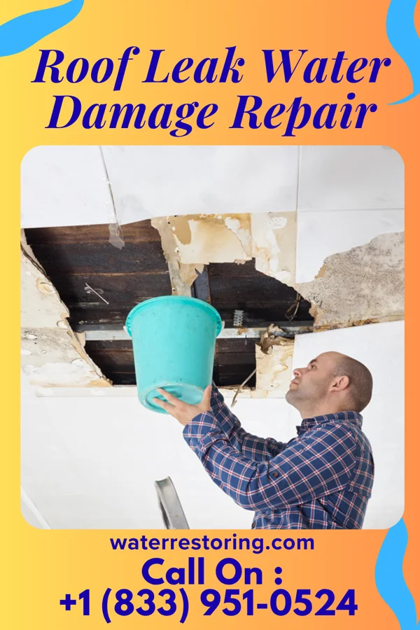 Roof Leak Water Damage Repair in Childers Hill, TN